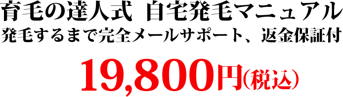 育毛の達人式 自宅発毛マニュアル 発毛するまで完全メールサポート、返金保証付 19,800円(税込)
