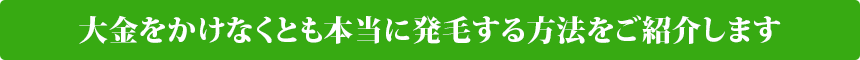 大金をかけなくとも本当に発毛する方法をご紹介します