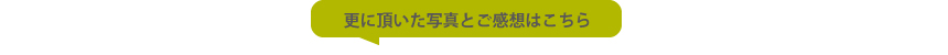 更に頂いた写真と感想はこちら