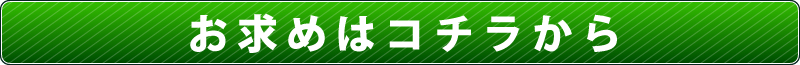 お求めはコチラから